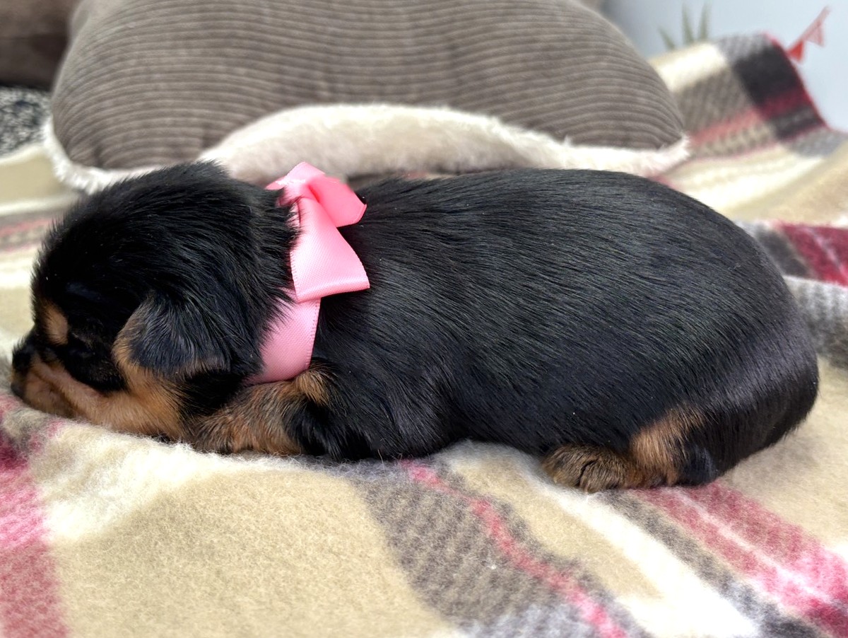 赤ちゃん写真1-2