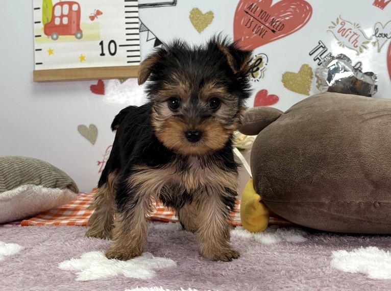 赤ちゃん写真2-1