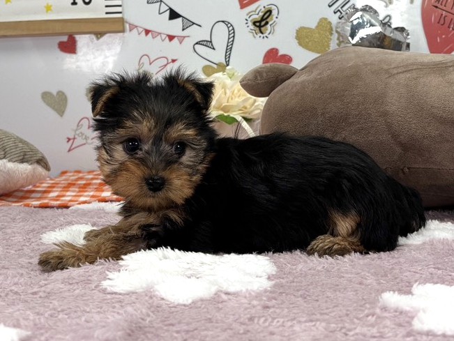 赤ちゃん写真2-2