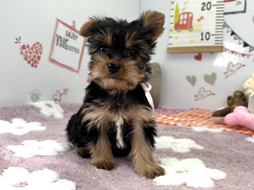 赤ちゃん写真2-1