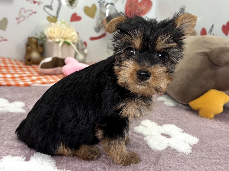 赤ちゃん写真2-2