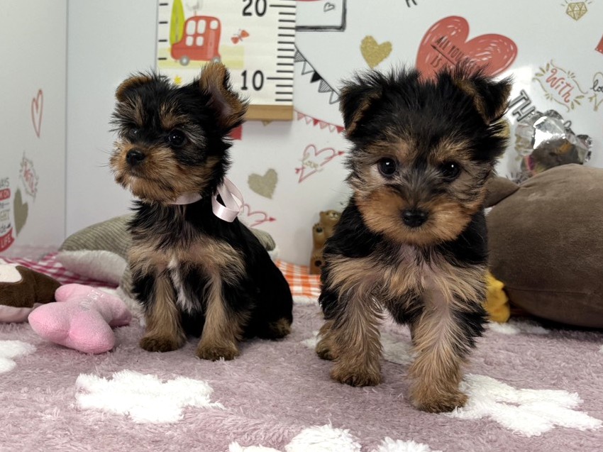 赤ちゃん写真2-3