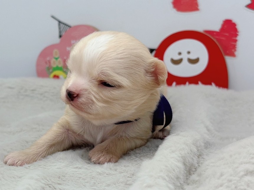 赤ちゃん写真1-1