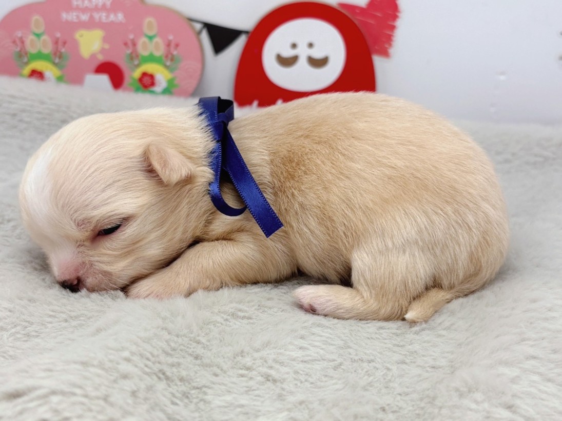 赤ちゃん写真1-2