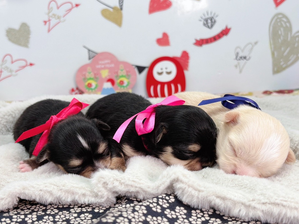 赤ちゃん写真1-3