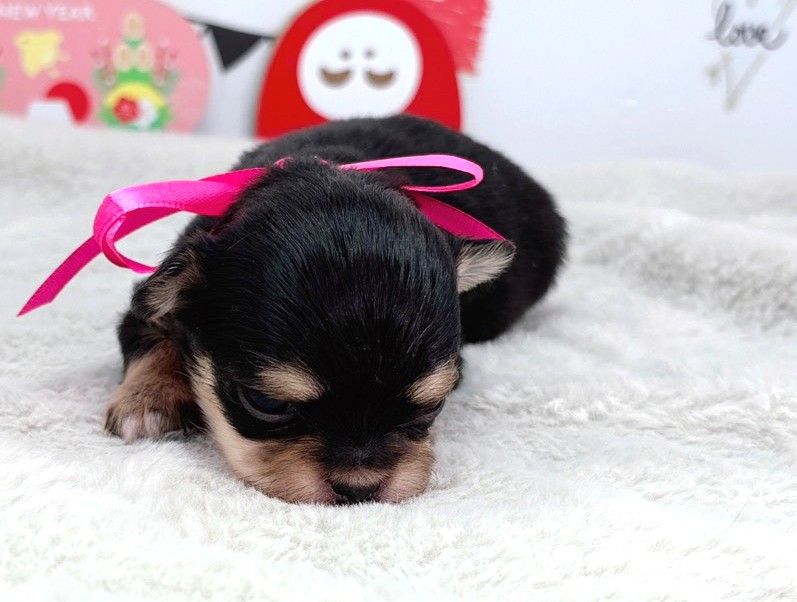 赤ちゃん写真1-1