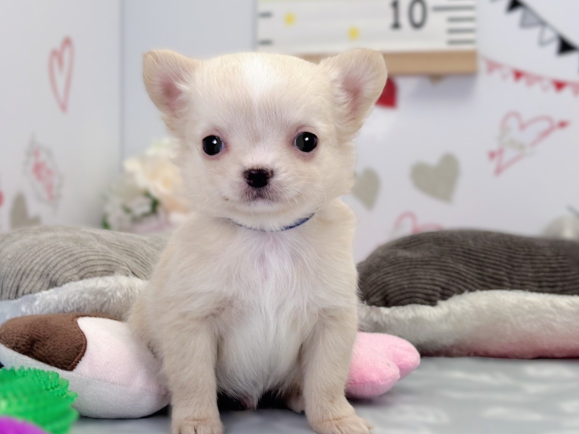 赤ちゃん写真2-1