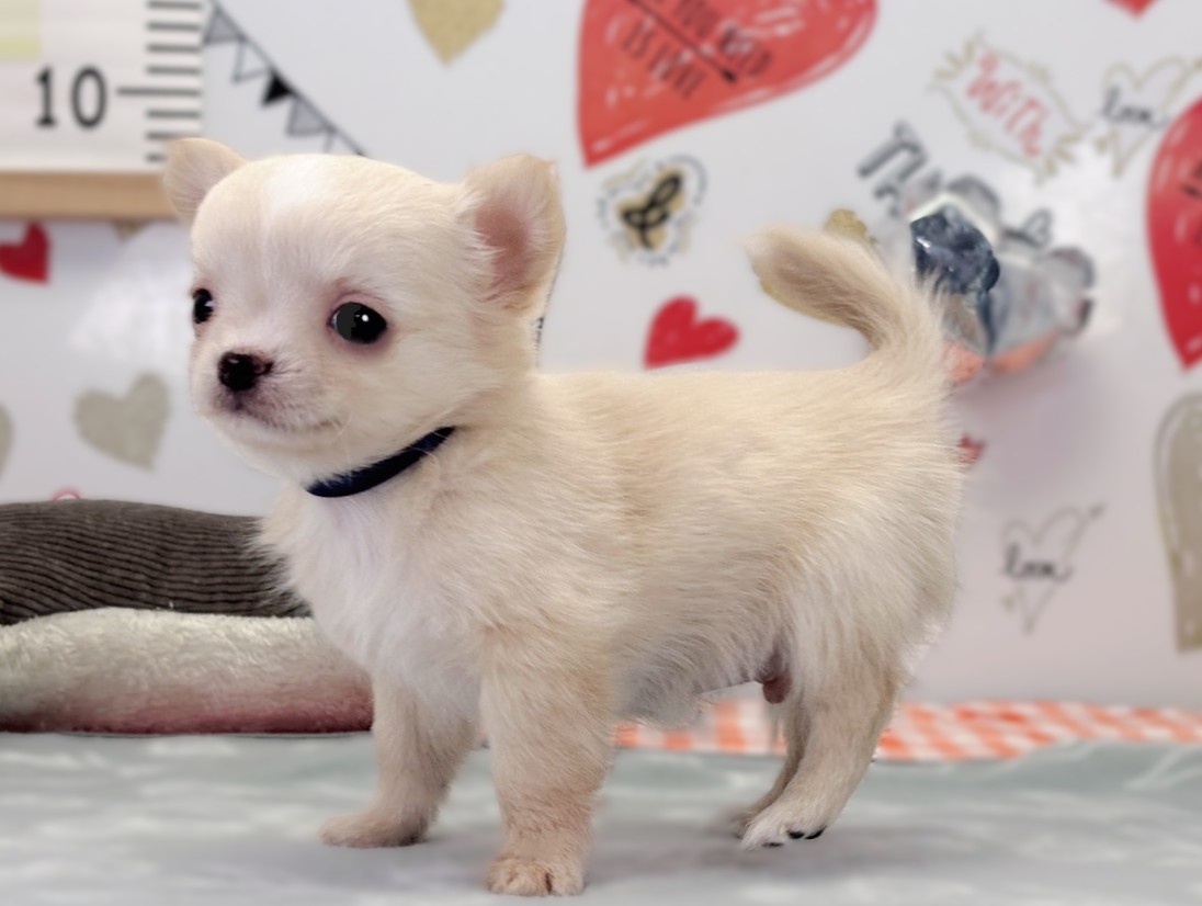 赤ちゃん写真2-2