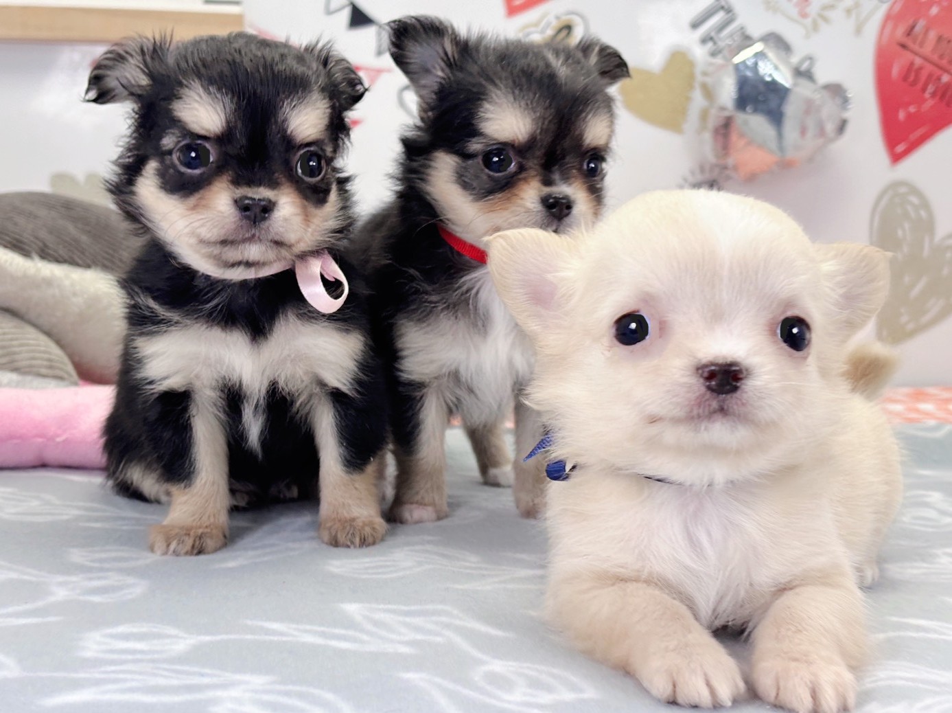 赤ちゃん写真2-3