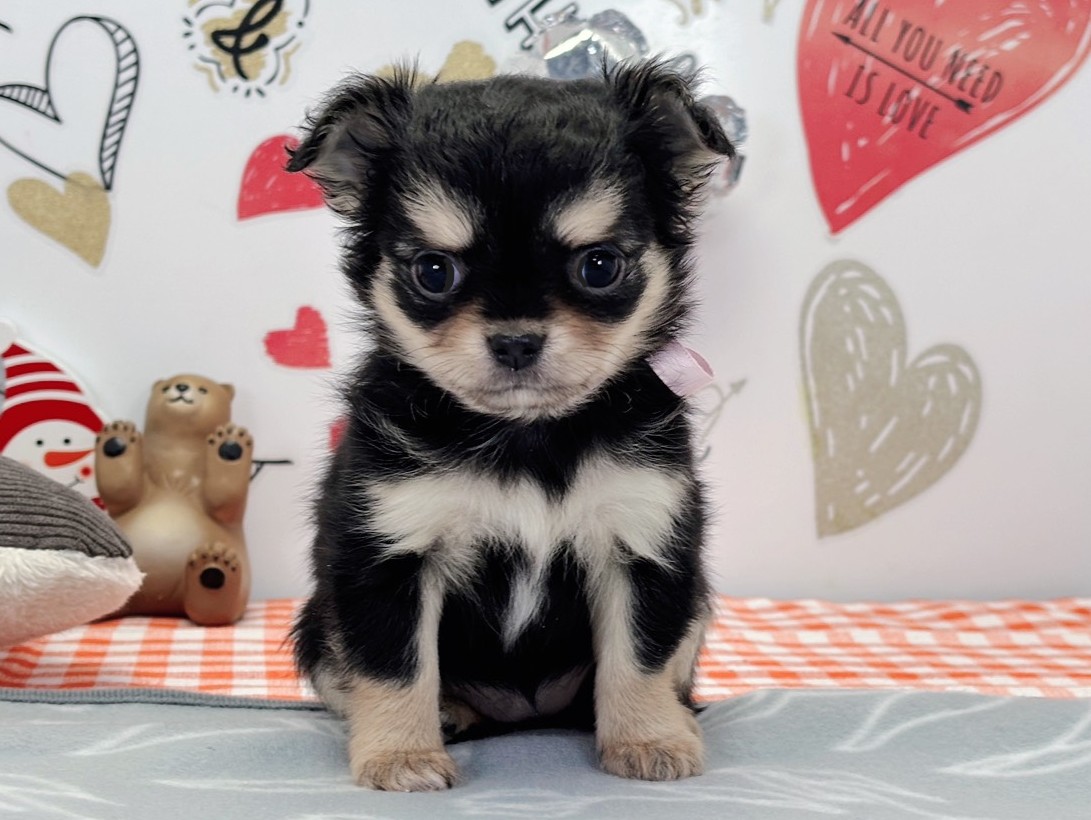 赤ちゃん写真2-1