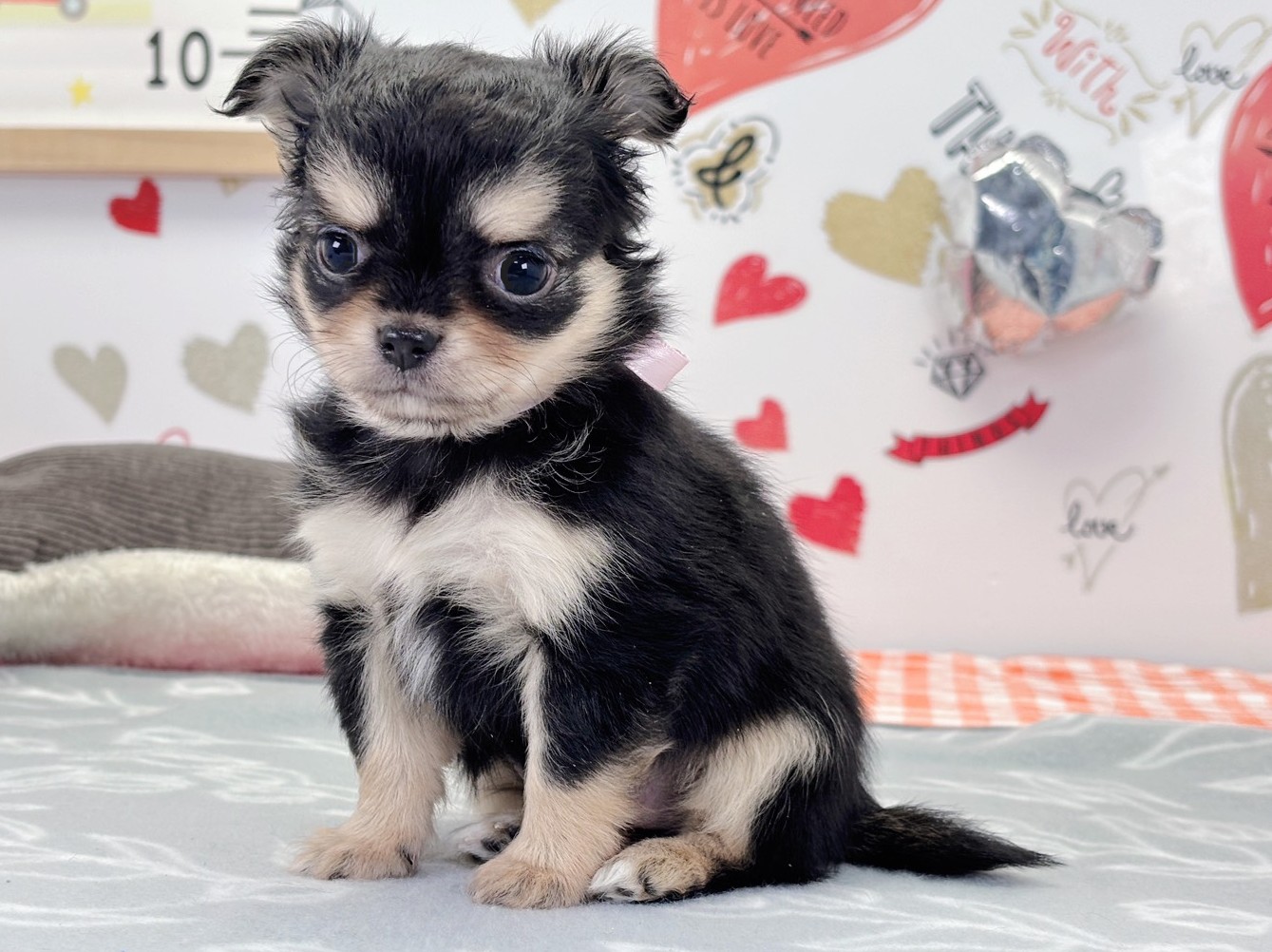 赤ちゃん写真2-2