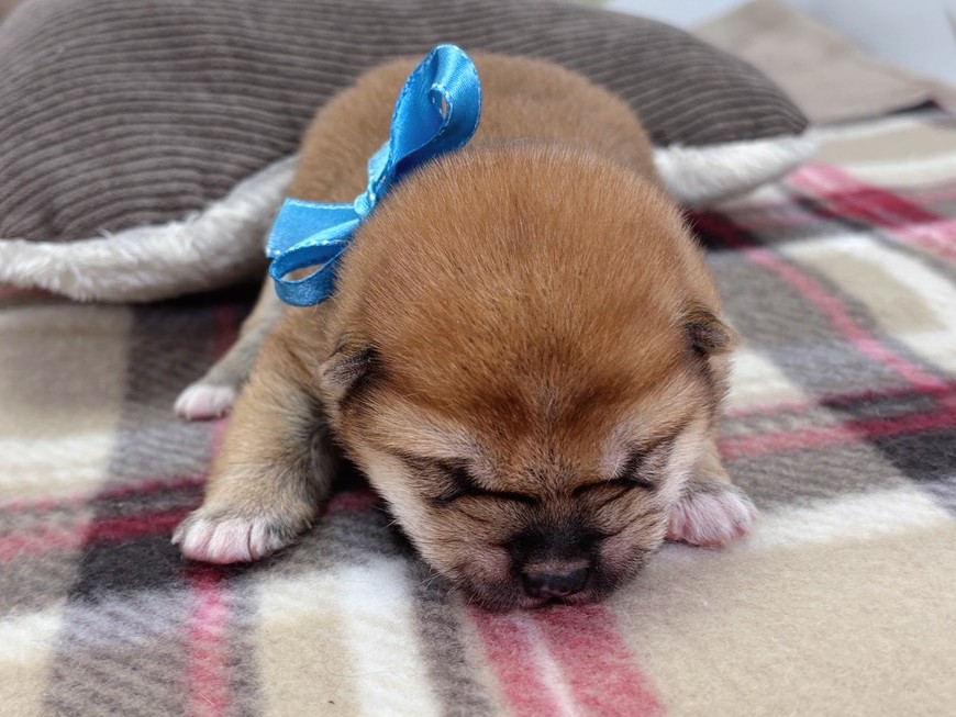 赤ちゃん写真1-1