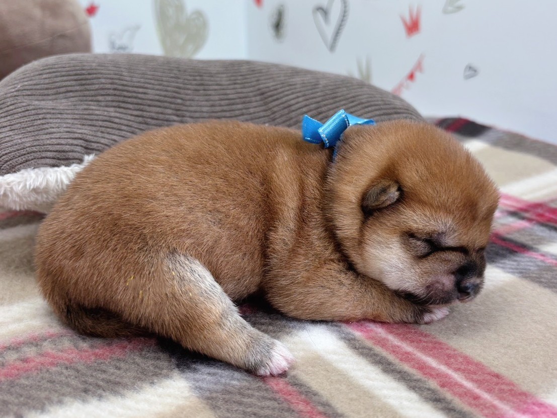 赤ちゃん写真1-2