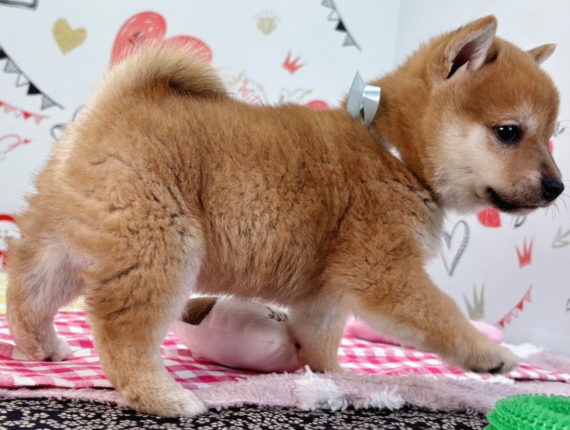 赤ちゃん写真2-2