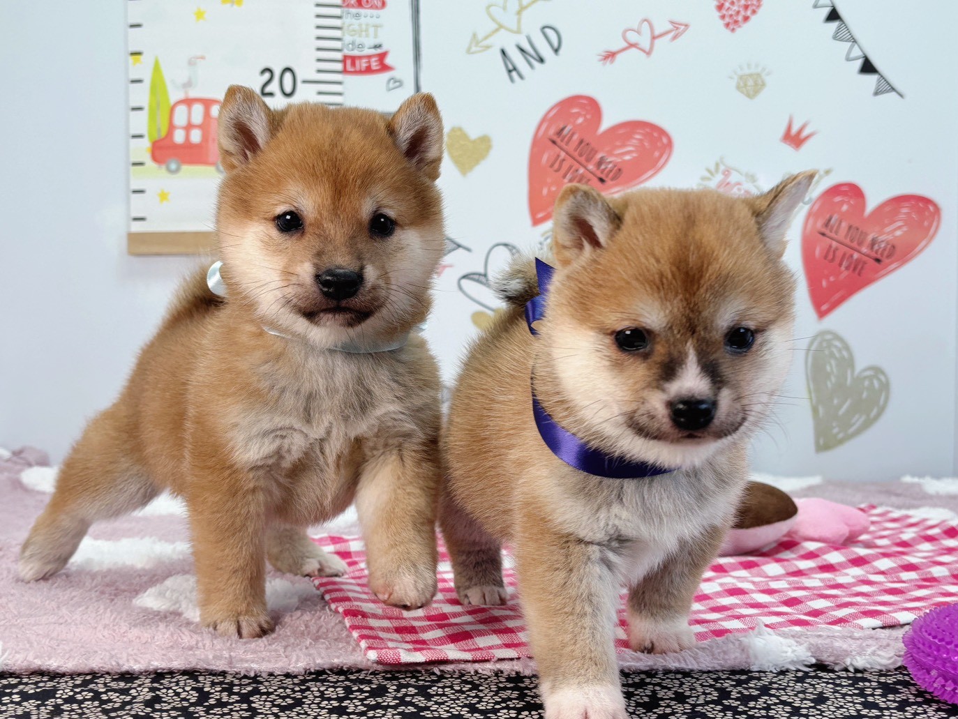 赤ちゃん写真2-3