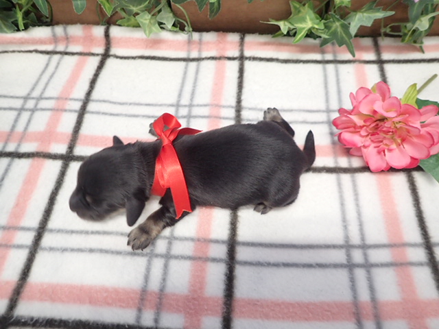 赤ちゃん写真1-3