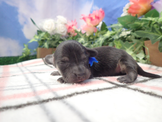 赤ちゃん写真1-1