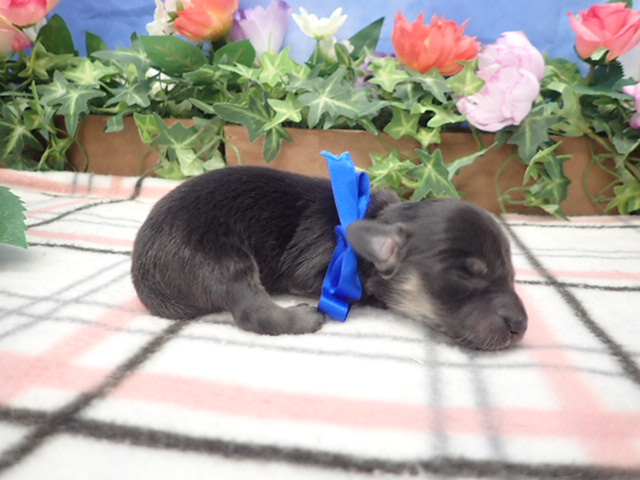 赤ちゃん写真1-2