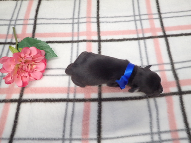 赤ちゃん写真1-3