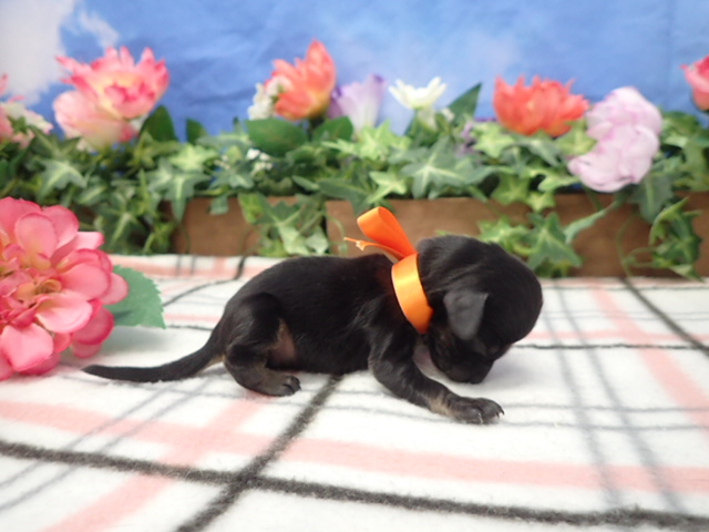 赤ちゃん写真1-2