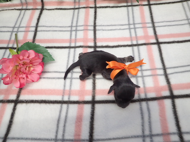 赤ちゃん写真1-3