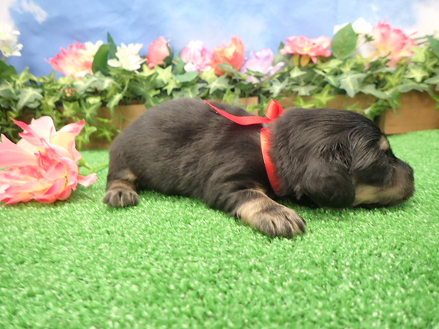 赤ちゃん写真2-2