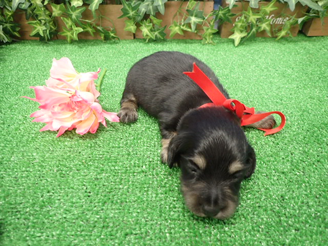 赤ちゃん写真2-3