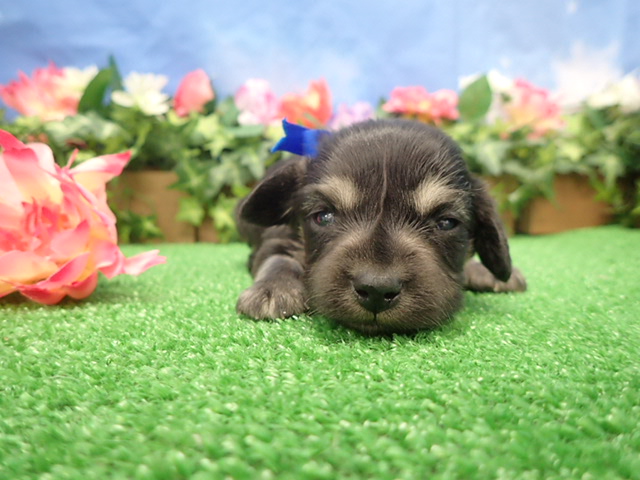 赤ちゃん写真2-1