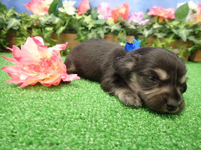 赤ちゃん写真2-2