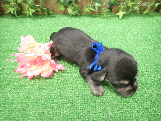 赤ちゃん写真2-3