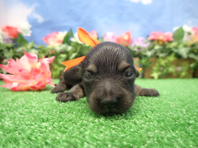 赤ちゃん写真2-1