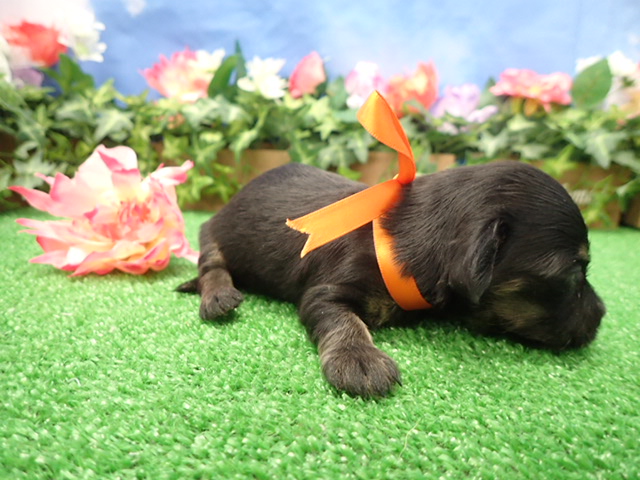 赤ちゃん写真2-2