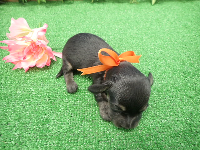 赤ちゃん写真2-3