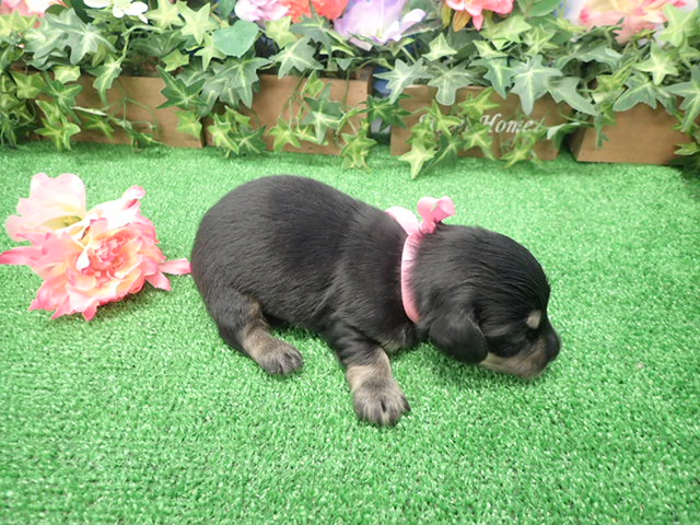 赤ちゃん写真2-3