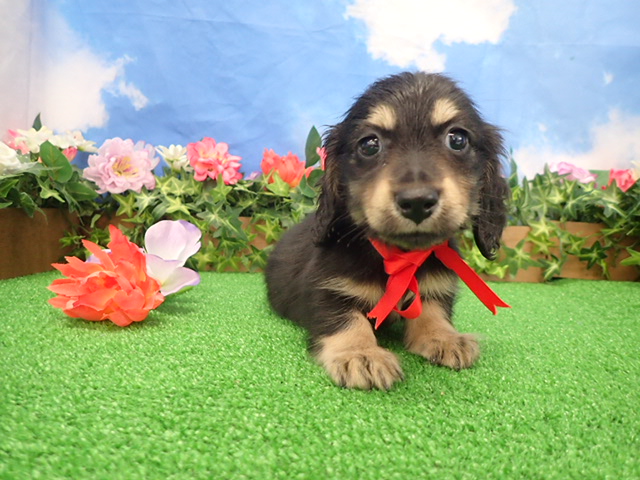 赤ちゃん写真3-1