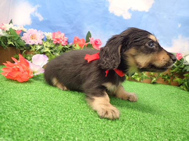 赤ちゃん写真3-2