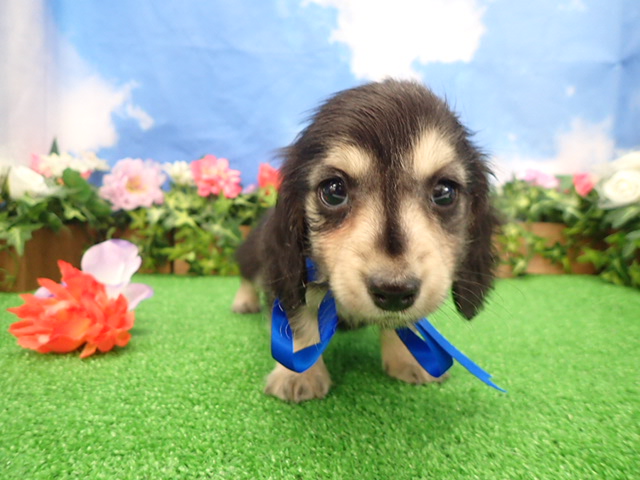 赤ちゃん写真3-1