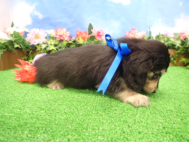 赤ちゃん写真3-2