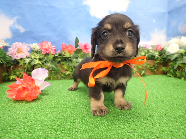 赤ちゃん写真3-1