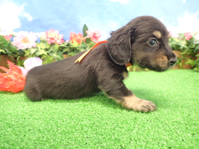 赤ちゃん写真3-2