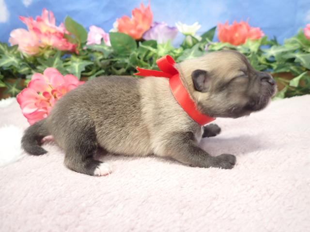 赤ちゃん写真1-2