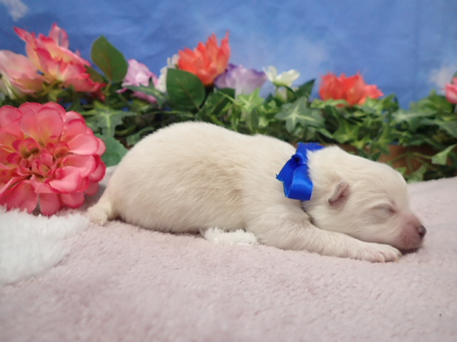 赤ちゃん写真1-2