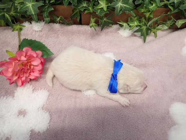 赤ちゃん写真1-3