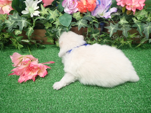 赤ちゃん写真2-3