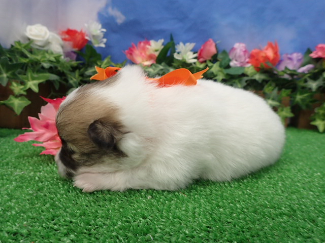 赤ちゃん写真2-2