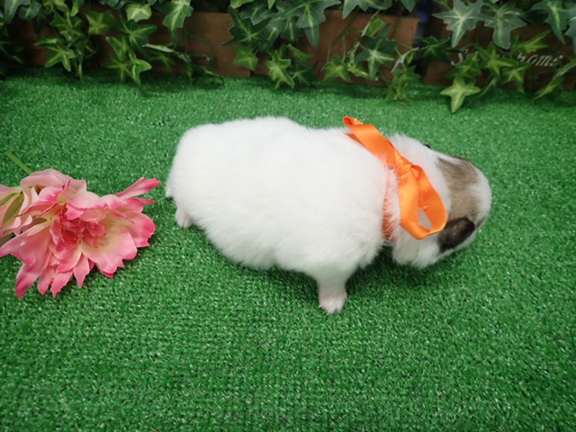 赤ちゃん写真2-3