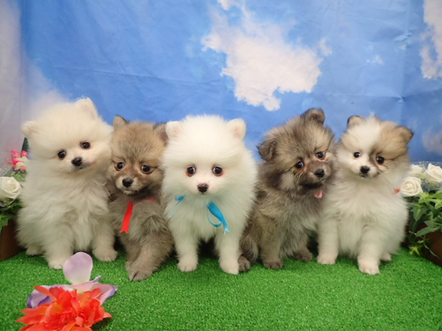 赤ちゃん写真3-3