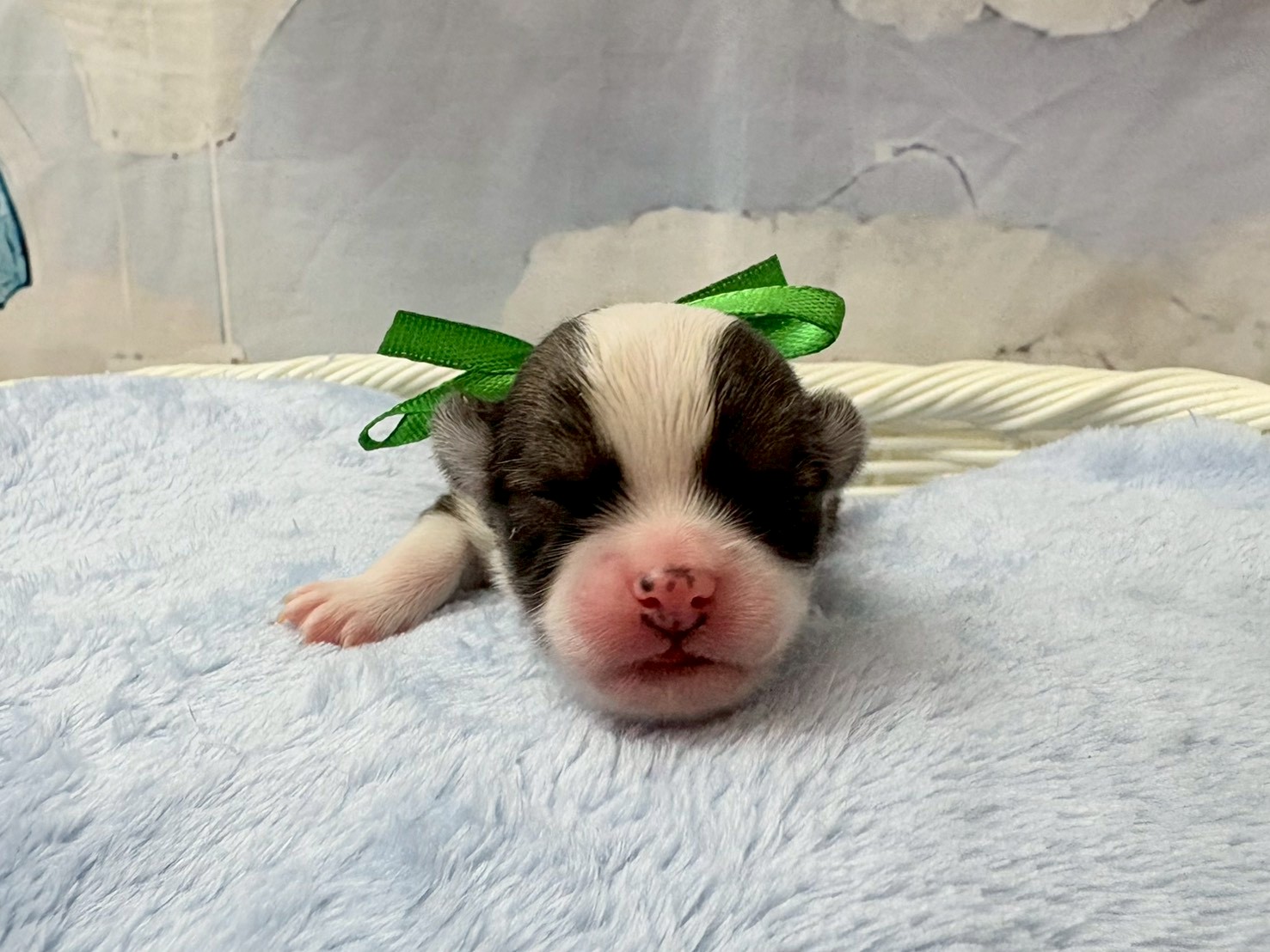 赤ちゃん写真1-1