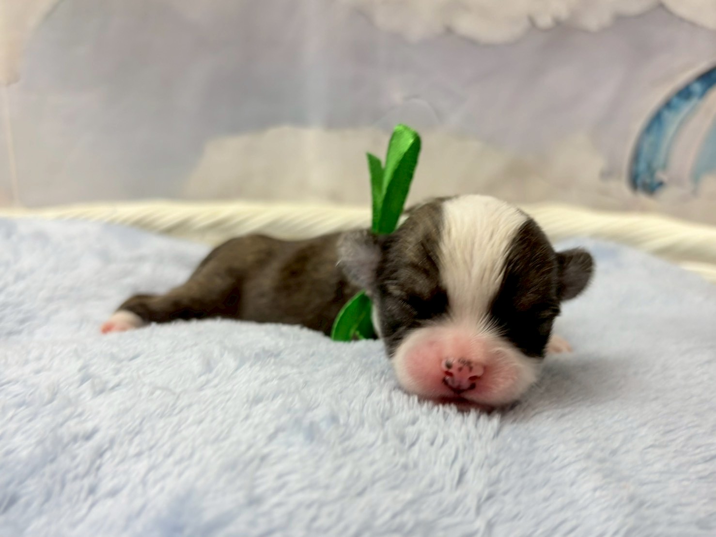 赤ちゃん写真1-2