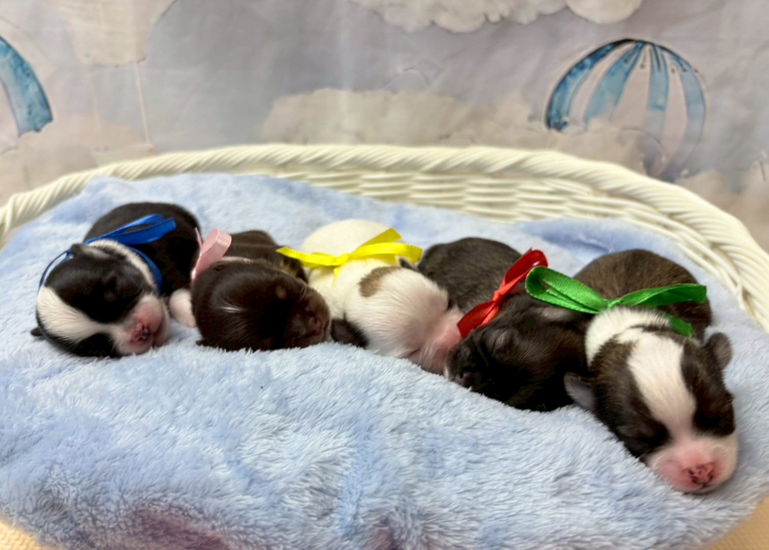 赤ちゃん写真1-3